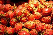 dragon fruits dragon fruits