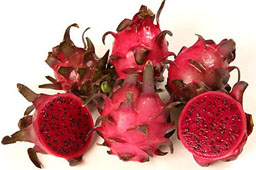 pitaya pitaya